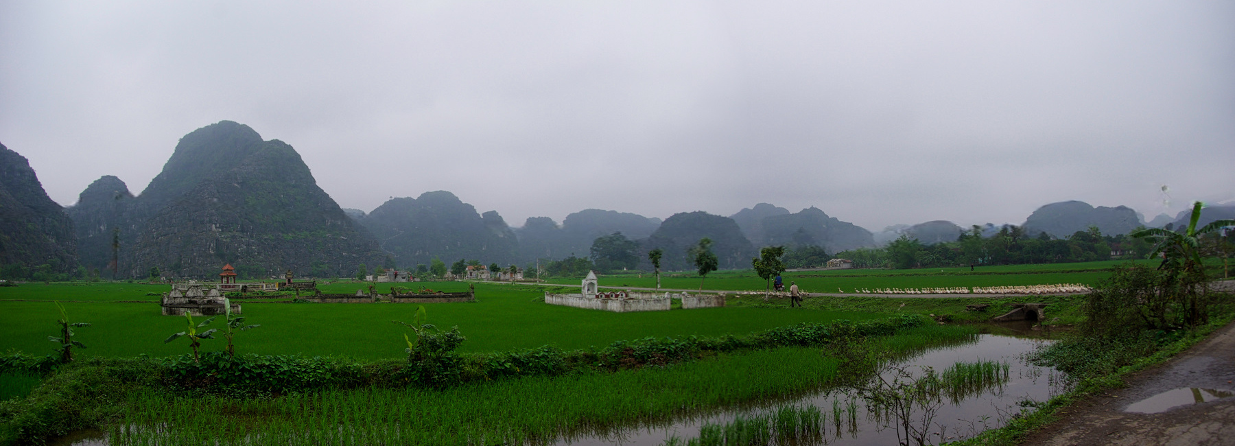 Vietnam, Ninh Binh, la Baie d'Halong terrestre. Vietnam, Ninh Binh, la Baie d'Halong terrestre.