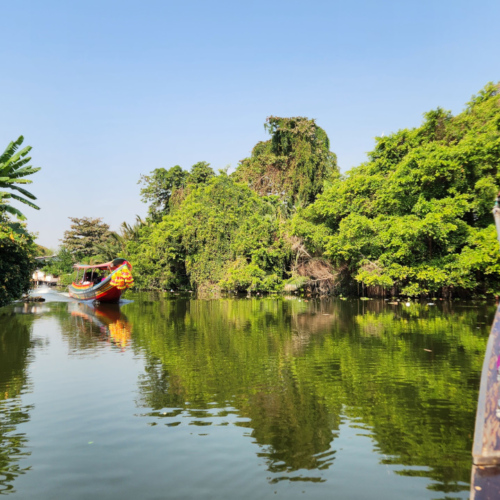 La ville disparait derrière la végétation. Bangkok balade touristique sur le klong