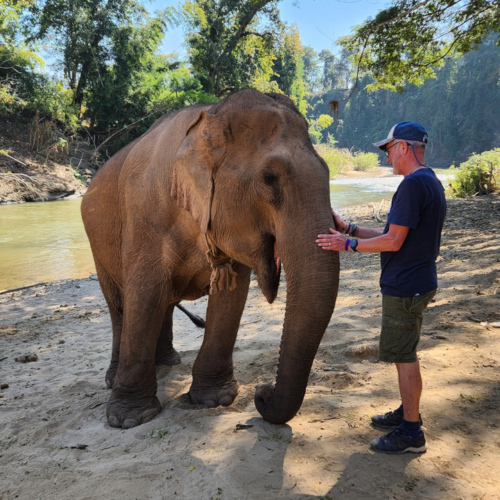 Eléphant à Kuet Chang Eléphant à Kuet Chang