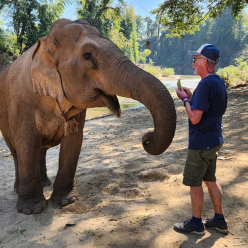 Eléphant à Kuet Chang Eléphant à Kuet Chang