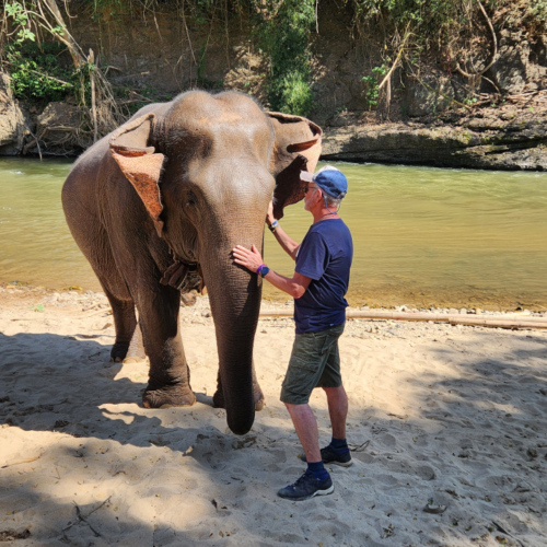 Eléphant à Kuet Chang Eléphant à Kuet Chang