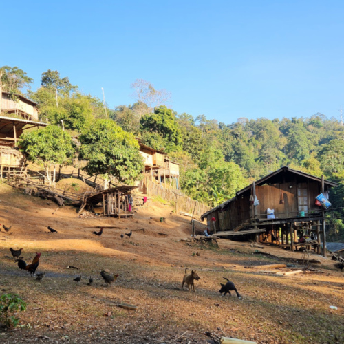 Village Pong Ngaep. Village Pong Ngaep