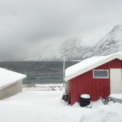 Kvløya, il pleut ce matin :-( Kvløya