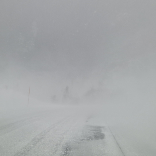 Kvløya, en plein tempête de neige. Kvløya