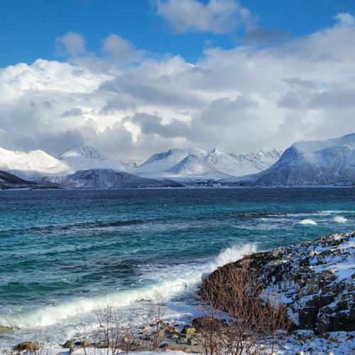 Norvège île de Kvløya Norvège île de Kvløya