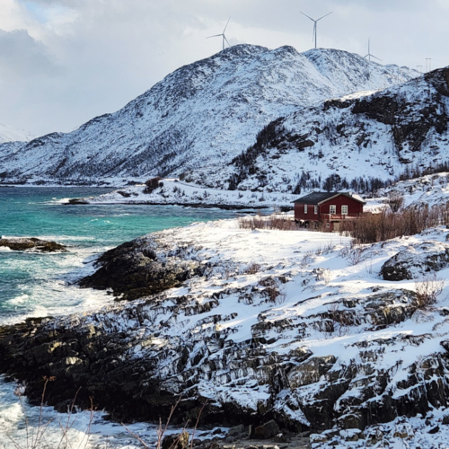 Norvège île de Kvløya Norvège île de Kvløya