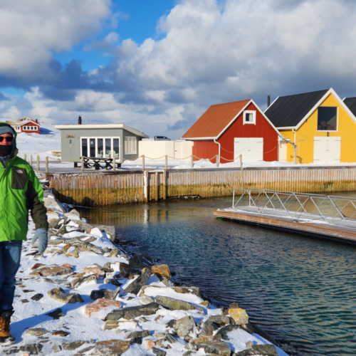 Norvège île de Kvløya Norvège île de Kvløya