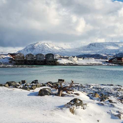 Norvège île de Kvløya Norvège île de Kvløya
