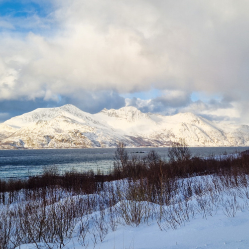 Norvège île de Kvløya Norvège île de Kvløya