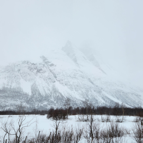 Lyngen Alps île de Kvløya Lyngen Alps île de Kvløya