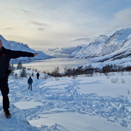 Lyngen Alps île de Kvløya, Fjord de Ersfjordbotn Lyngen Alps île de Kvløya