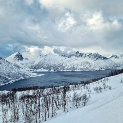 Norvège Senja Norvège Kvløya Senja