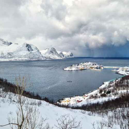 Norvège Senja île d'Husøy Norvège Kvløya Senja