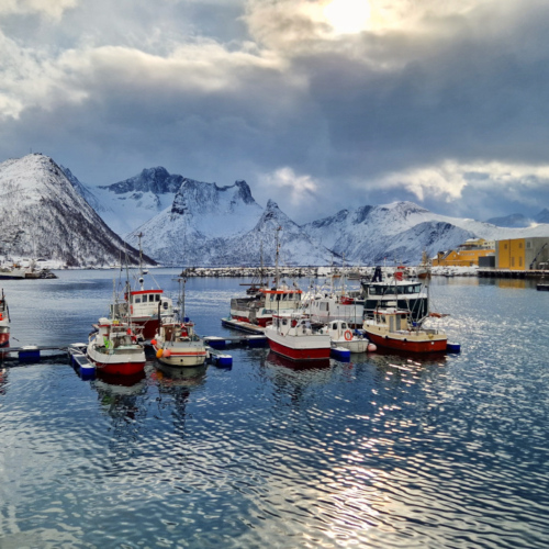 Norvège Senja île d'Husøy Norvège Kvløya Senja