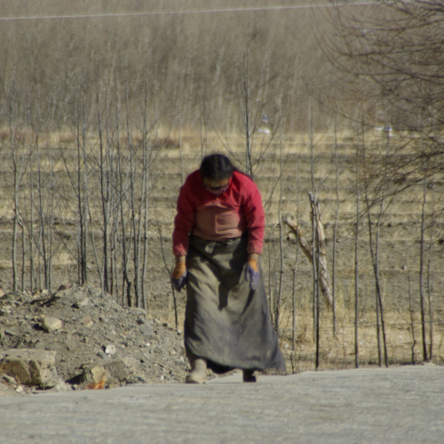 Tibet prière en cheminant Tibet prière en cheminant