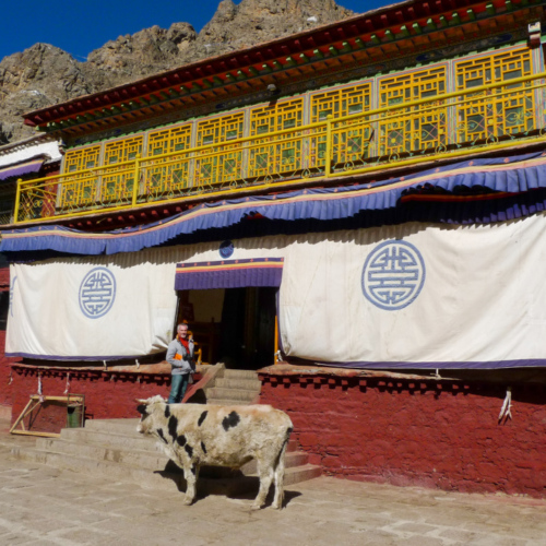 Tibet Monastère de Tsurphu Tibet Monastère de Tsurphu
