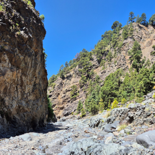 La Palma Barranco de las Angustias La Palma Barranco de las Angustias