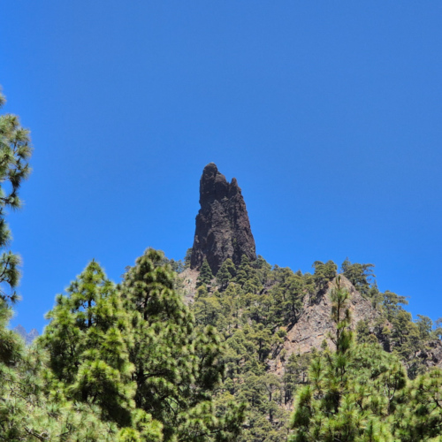 La Palma Barranco de las Angustias La Palma Barranco de las Angustias