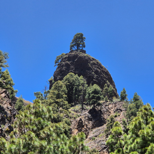 La Palma Barranco de las Angustias La Palma Barranco de las Angustias