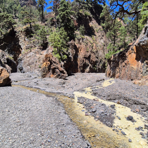 La Palma Barranco de las Angustias La Palma Barranco de las Angustias