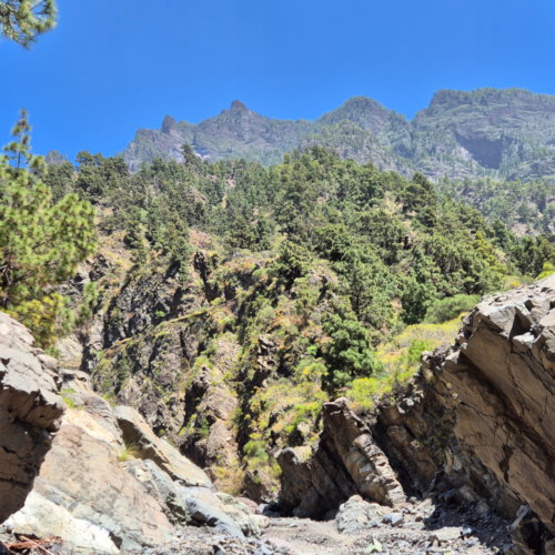 La Palma Barranco de las Angustias La Palma Barranco de las Angustias