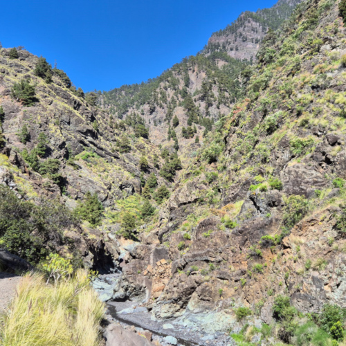 La Palma Barranco de las Angustias La Palma Barranco de las Angustias