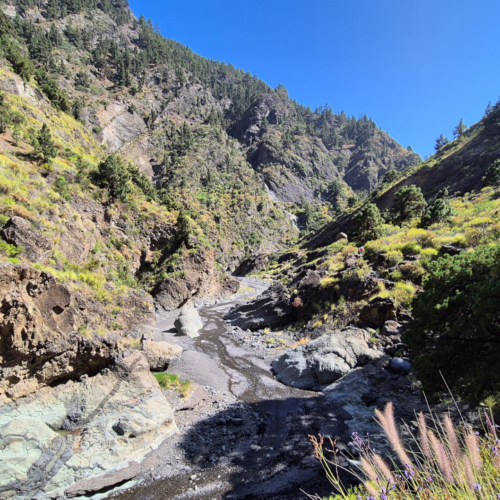 La Palma Barranco de las Angustias La Palma Barranco de las Angustias