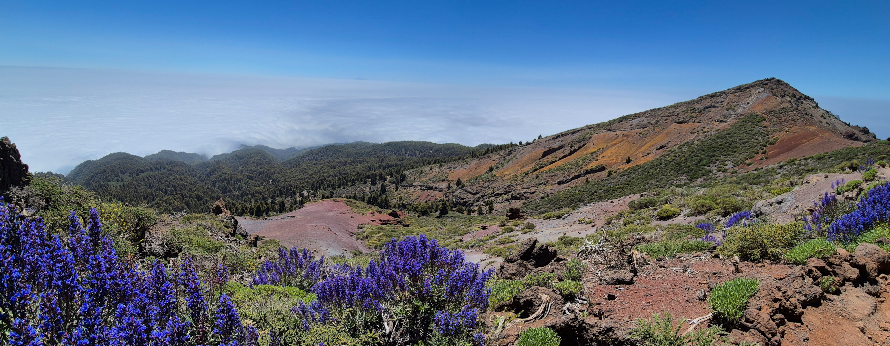 La Palma Roque de los Muchachos La Palma Roque de los Muchachos