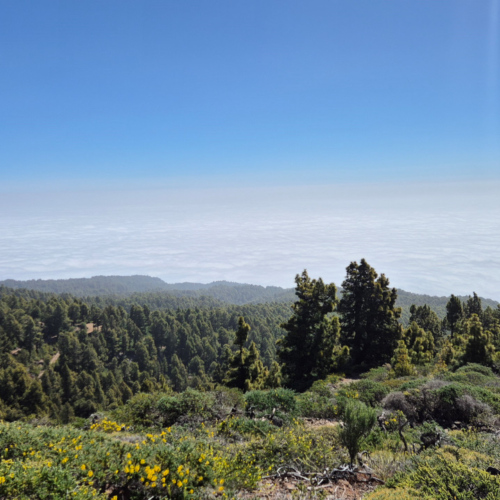 La Palma Roque de los Muchachos La Palma Roque de los Muchachos