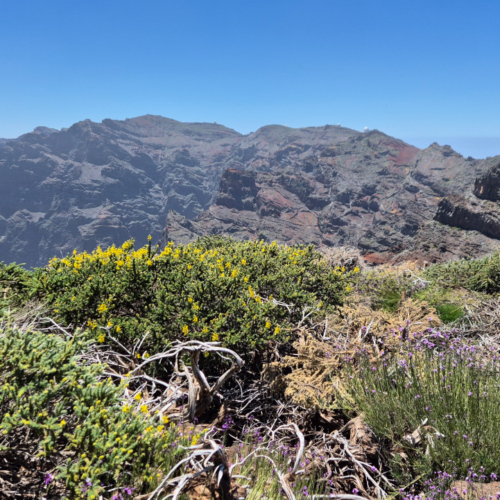 La Palma Roque de los Muchachos La Palma Roque de los Muchachos