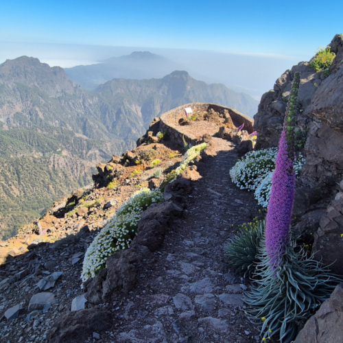La Palma Roque de los Muchachos La Palma Roque de los Muchachos