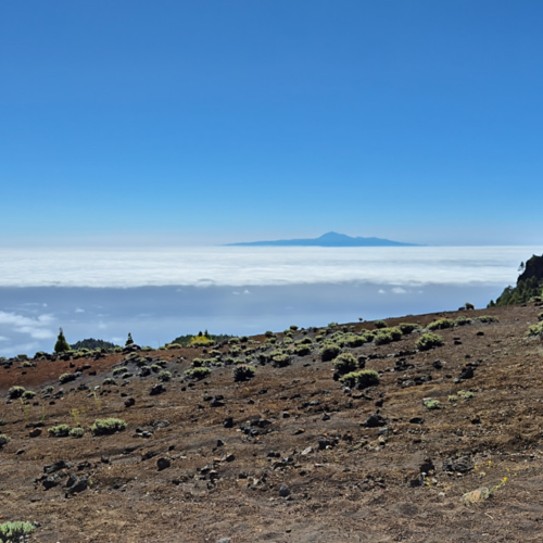 La Palma La Route des Volcans
Tenerife et le Teide au loin La Palma La Route des Volcans