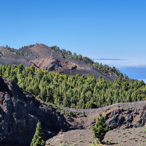 La Palma La Route des Volcans La Palma La Route des Volcans