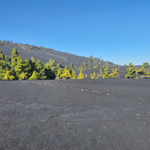 La Palma Volcan Tajogaite
Cendre de 1949 et 2021. La Palma Volcan Tajogaite