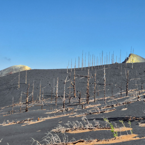 La Palma Volcan Tajogaite La Palma Volcan Tajogaite