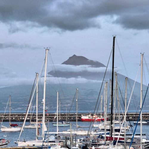 Sur le port d'Horta, face au Mont Pico :-) Açores arrivée Faial