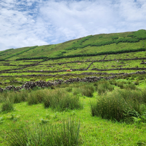 Açores Caldeira de Corvo Açores Caldeira de Corvo