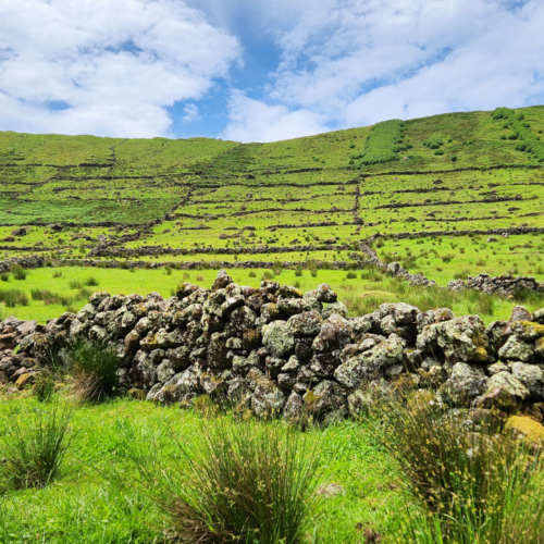 Açores Caldeira de Corvo Açores Caldeira de Corvo