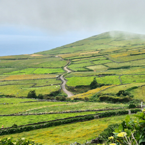 Açores Caldeira de Corvo Açores Caldeira de Corvo