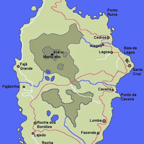 Carte Flores Carte Flores