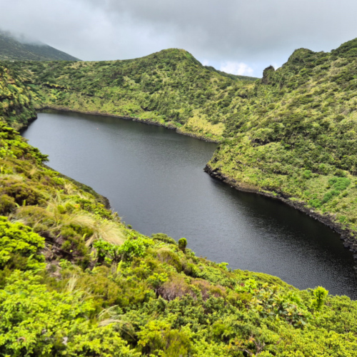 Açores flores Caldeira Comprida Açores flores Caldeira Comprida
