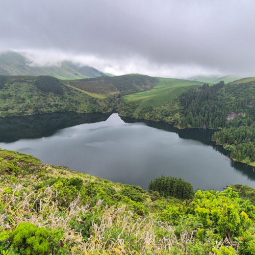 Açores flores Caleira Funda Acores flores Caldeira Funda