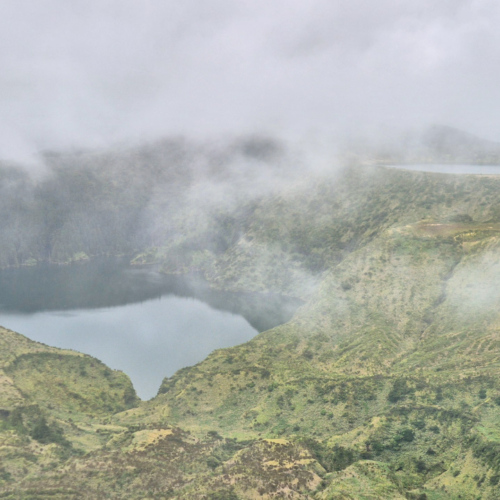 Açores flores Caleiras Funda e Rasa Acores flores Caldeiras Funda e Rasa