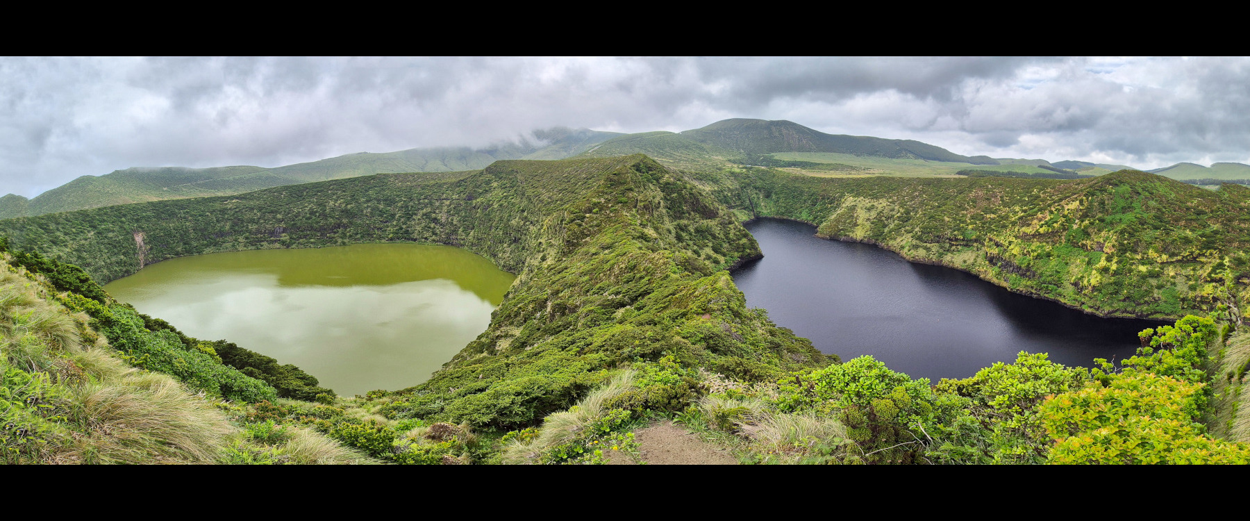 Açores flores Caldeiras Negra et Comprida Açores flores Caldeiras Negra et Comprida