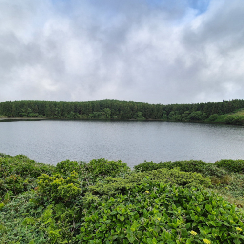 Açores flores Lagoa da Lomba Açores flores Lagoa da Lomba