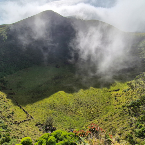 Açores Pico. Crateras Poço. Açores Pico