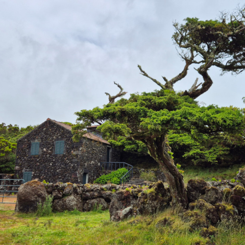 Açores Pico. Açores Pico.
