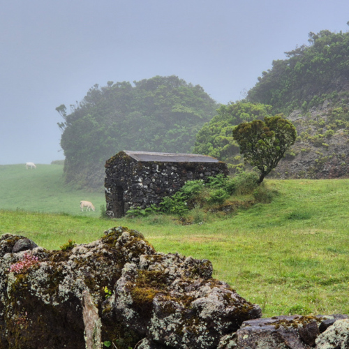 Açores Pico. Açores Pico.