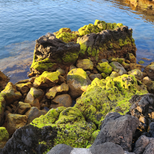 Açores Pico. Açores Pico.