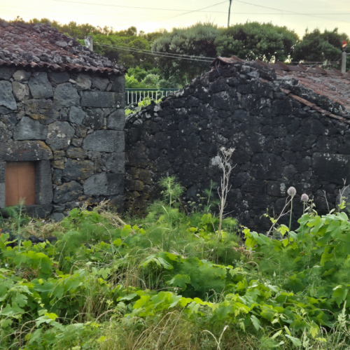 Açores Pico. Açores Pico.